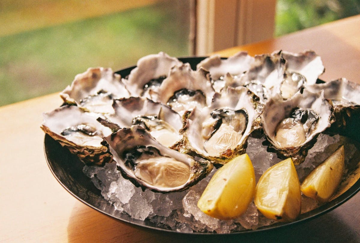 a close up of a plate of food