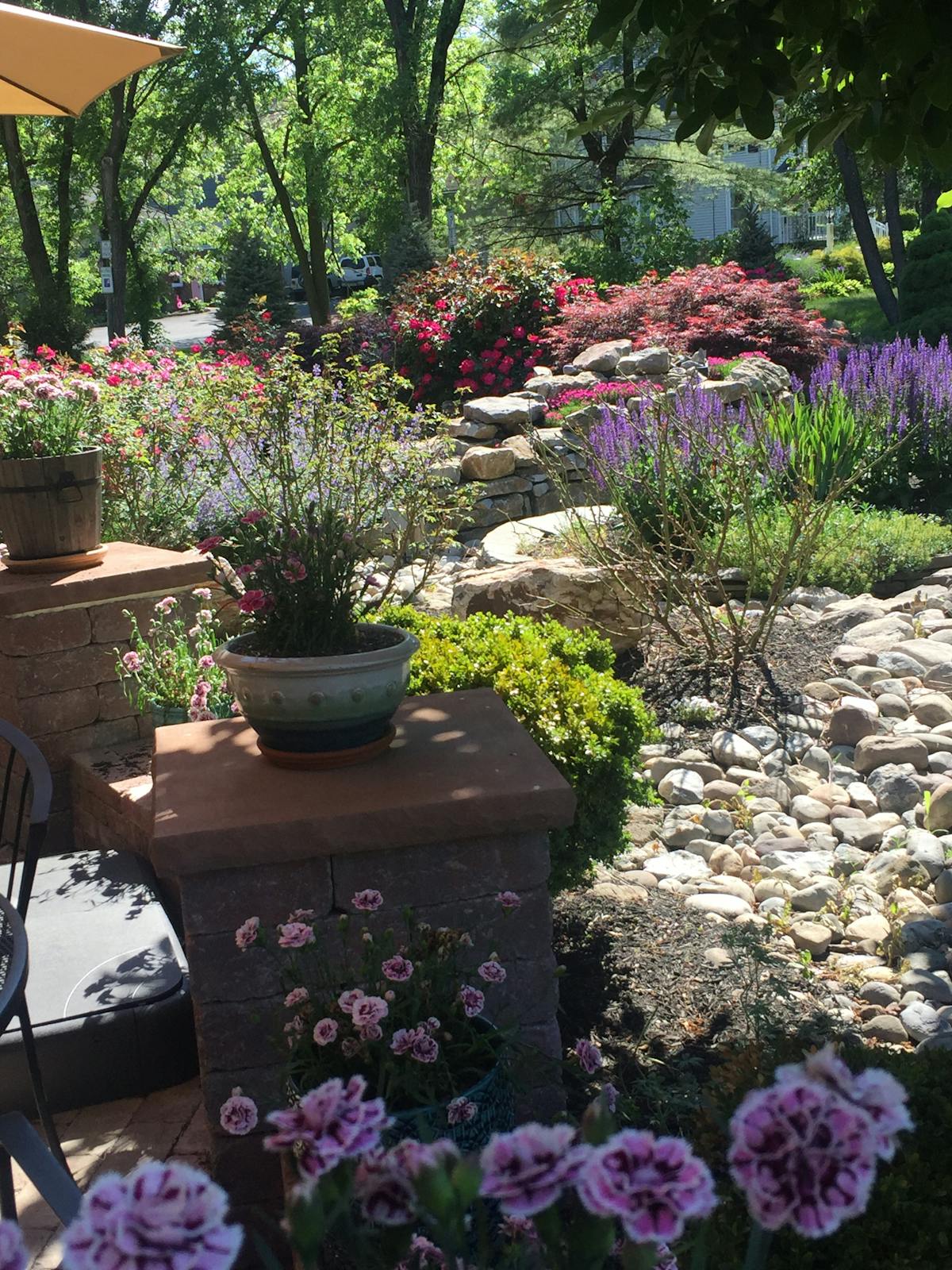 a large purple flower is in a garden