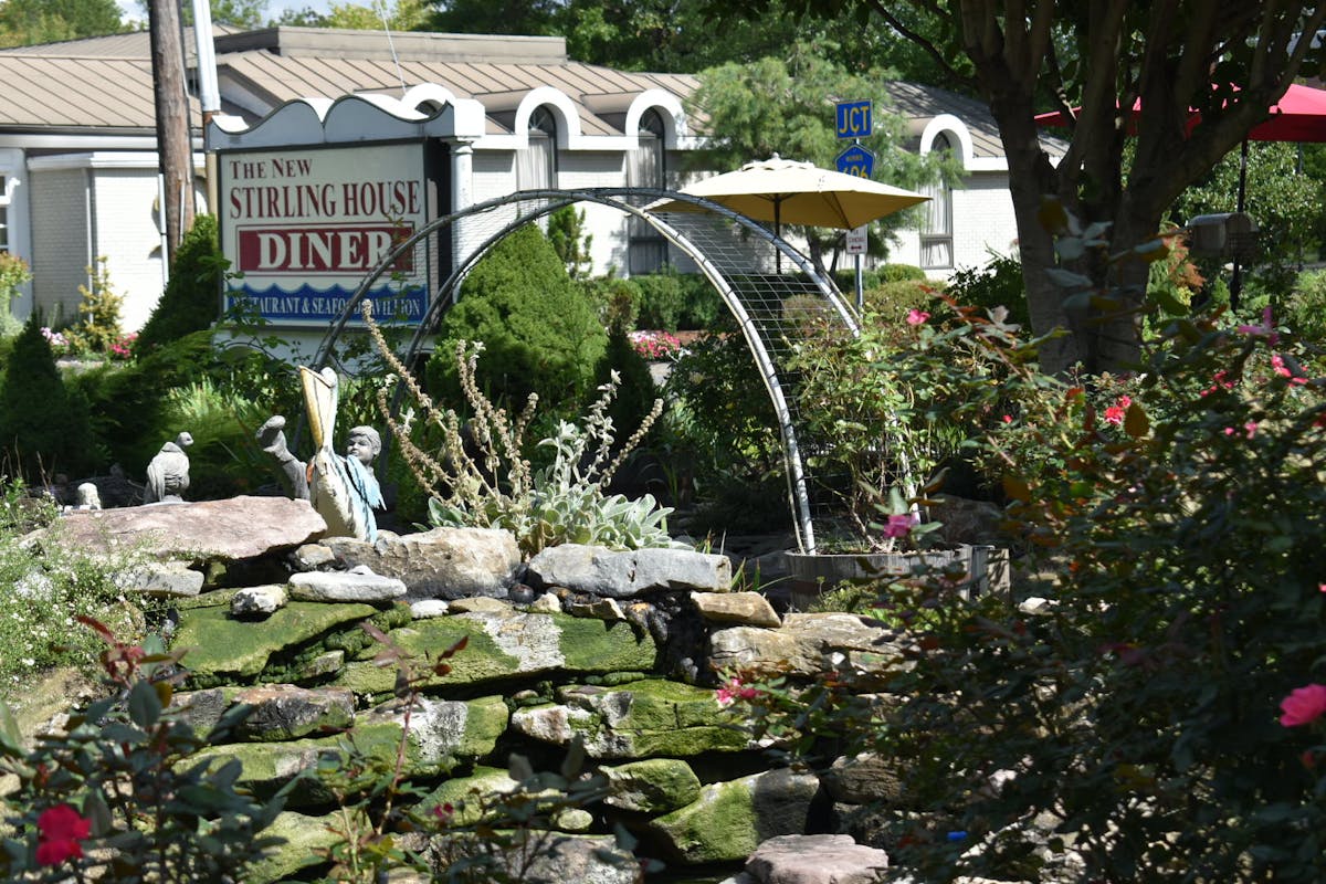 a close up of a flower garden