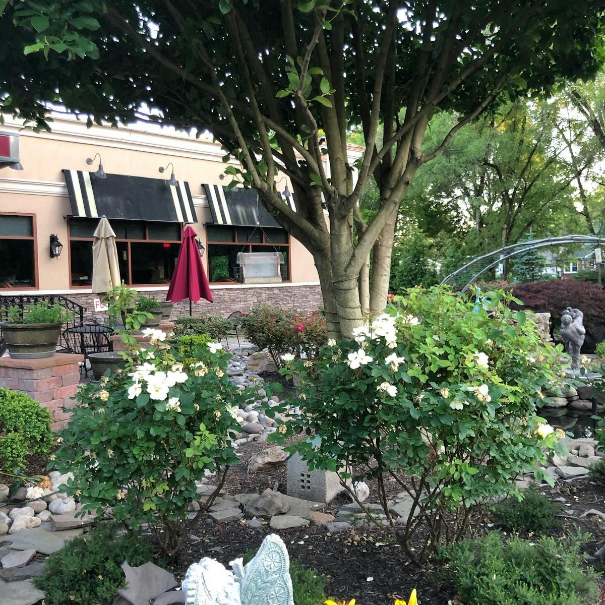 a garden in front of a house