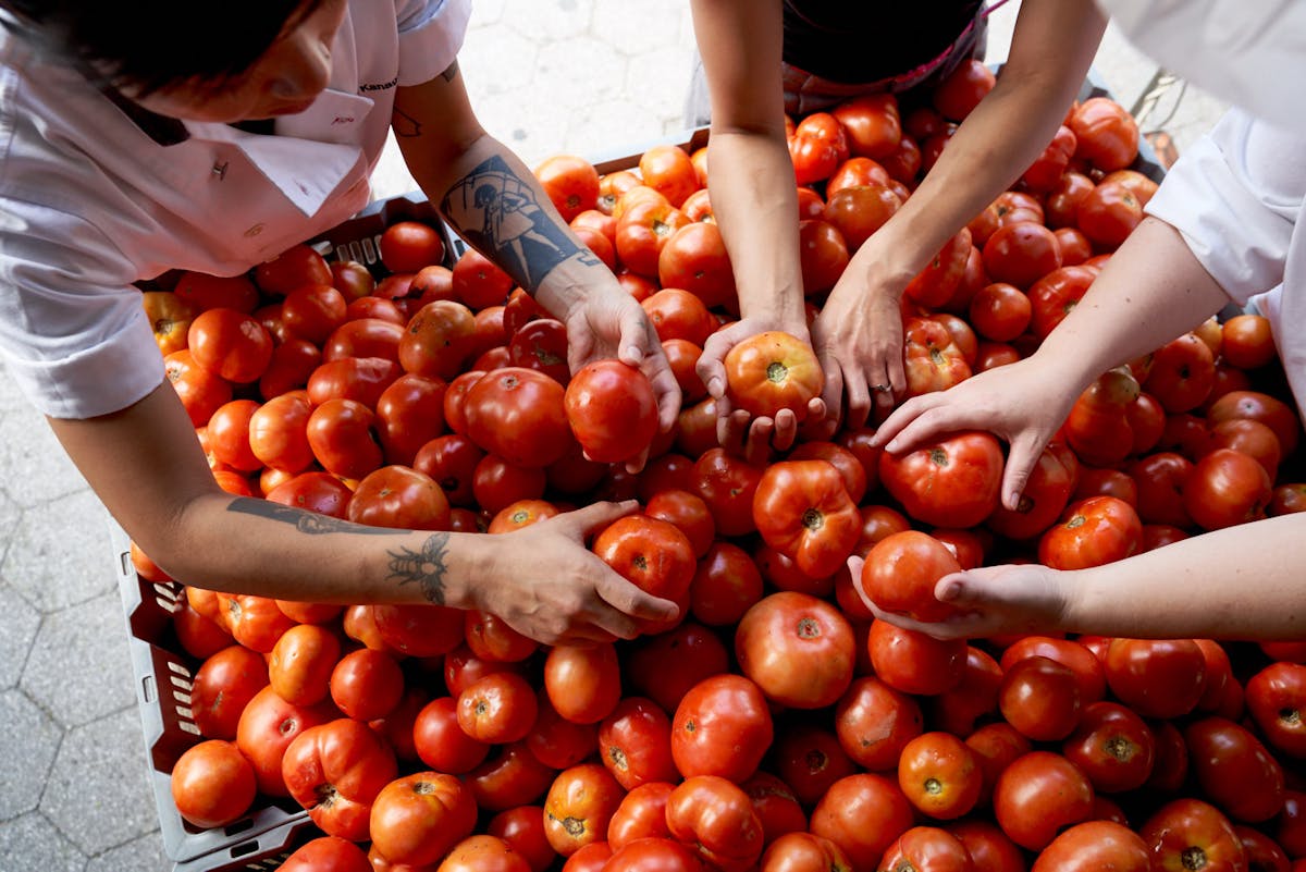 people reaching for tomatoes