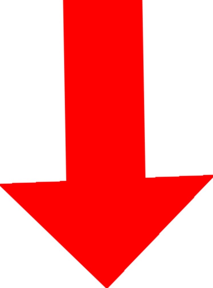 holiday-menu-brooklyn-bagel-bakery-deli-in-georgia-us