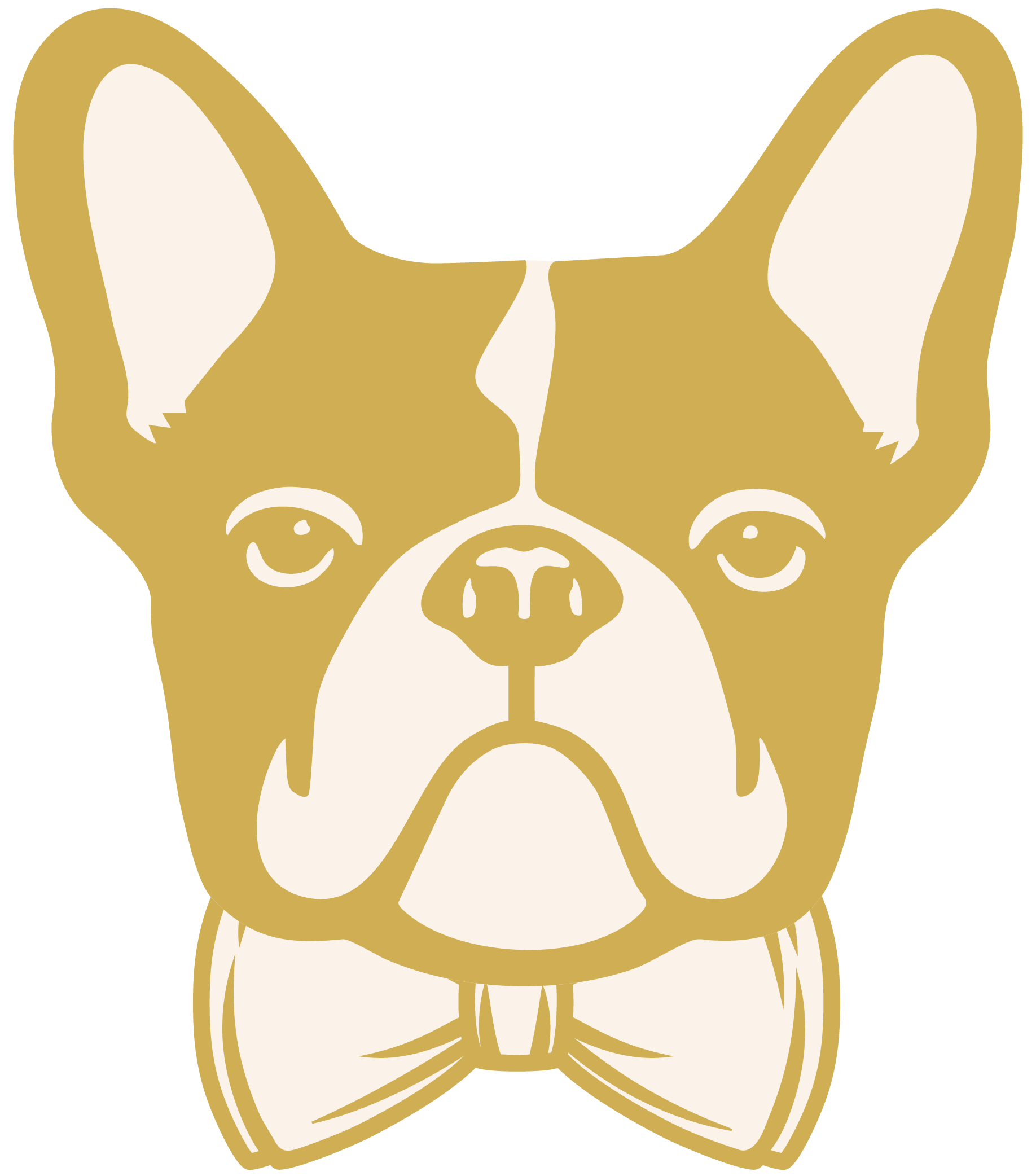 a dog with a bow tie