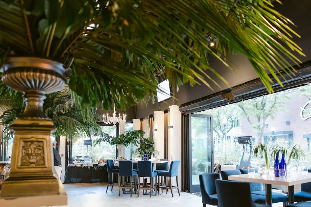 A vibrant restaurant featuring a large palm tree prominently positioned in the center, creating a tropical ambiance.