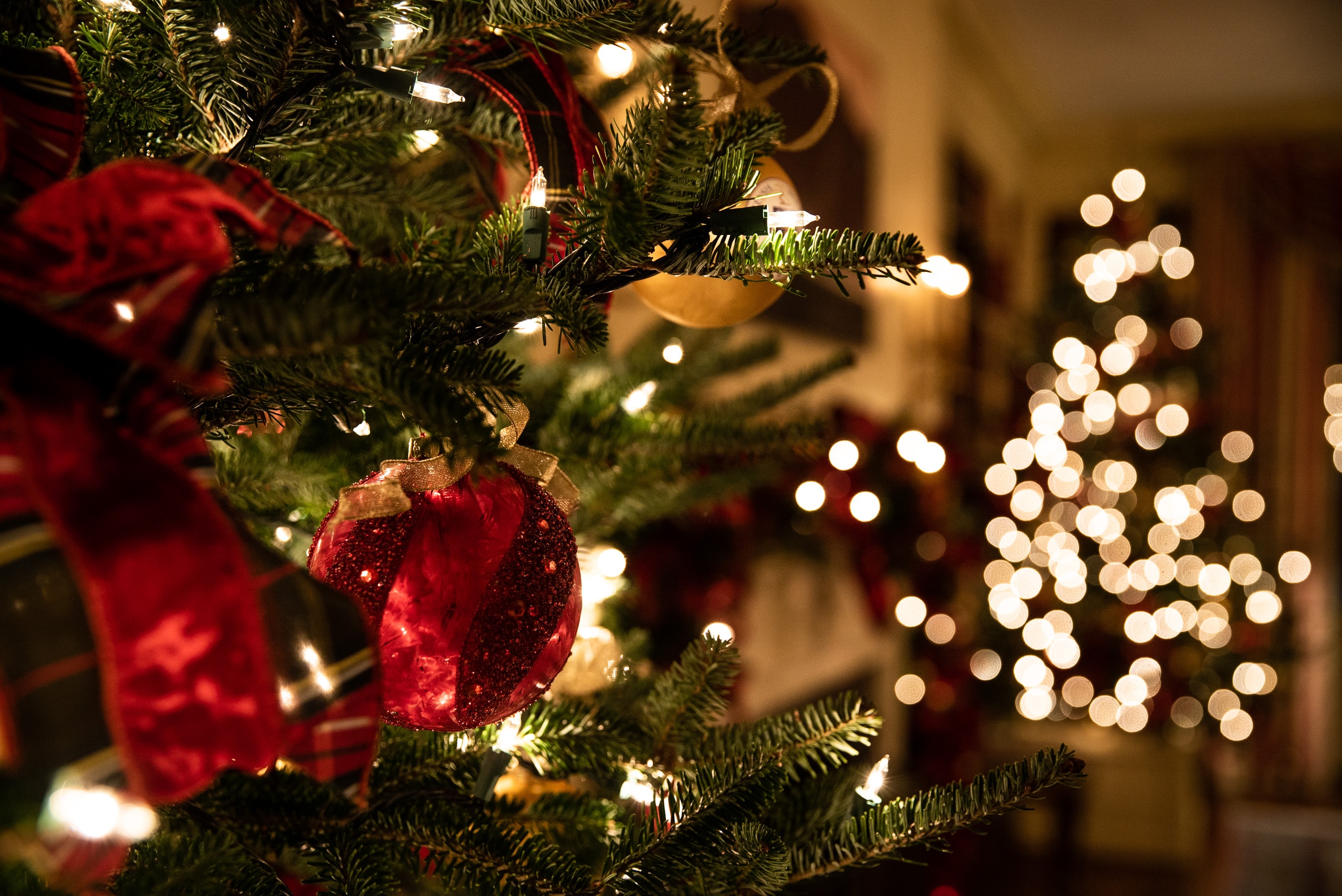 a christmas tree