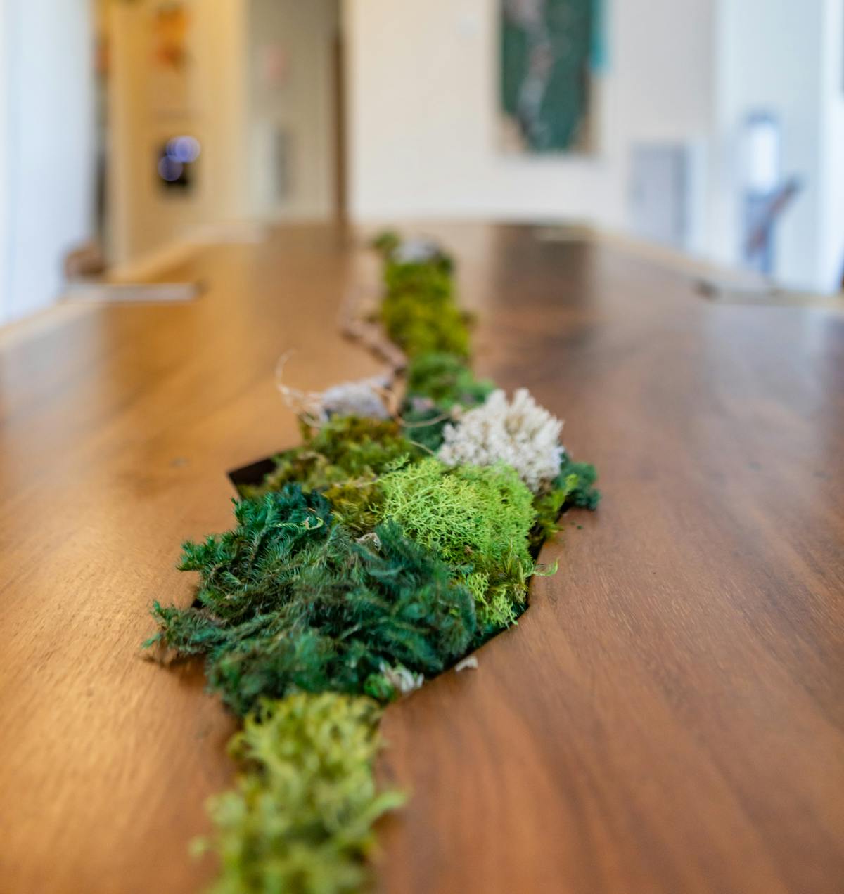 a piece of broccoli sitting on top of a wooden table