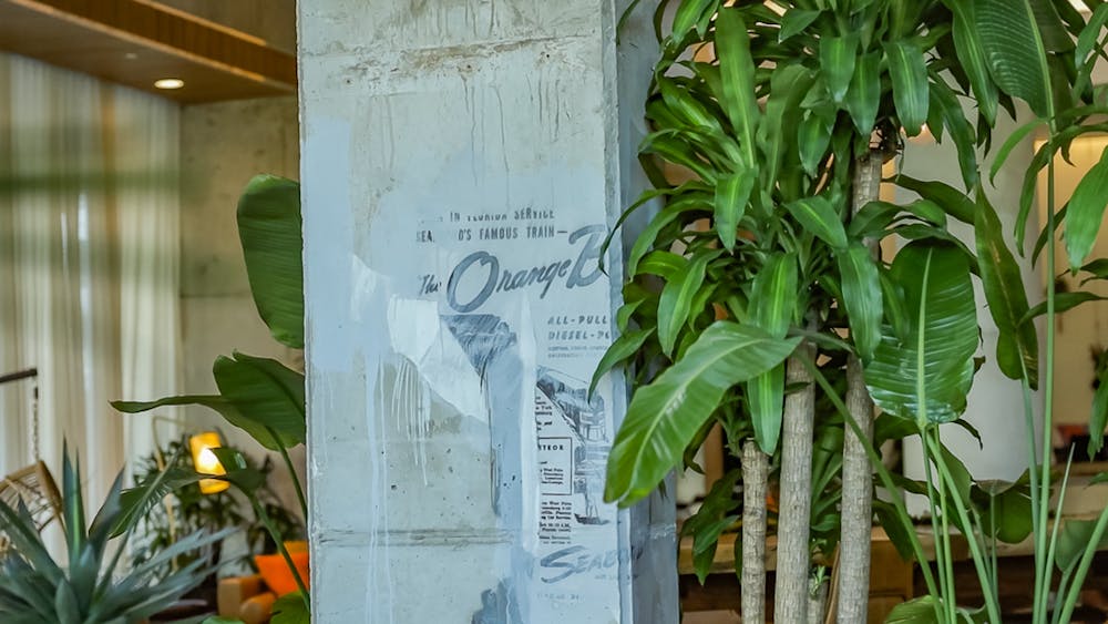 a vase of flowers on a plant