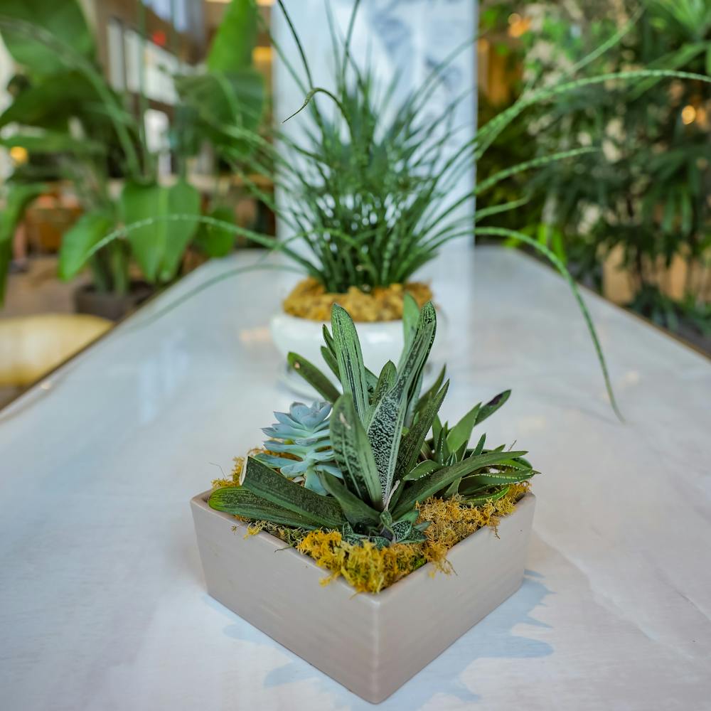 a vase of flowers on a table