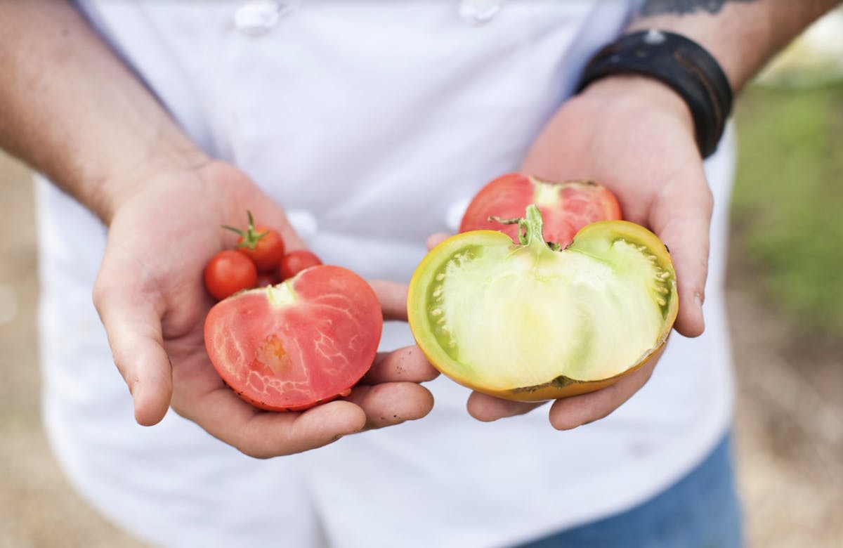 a hand holding a fruit