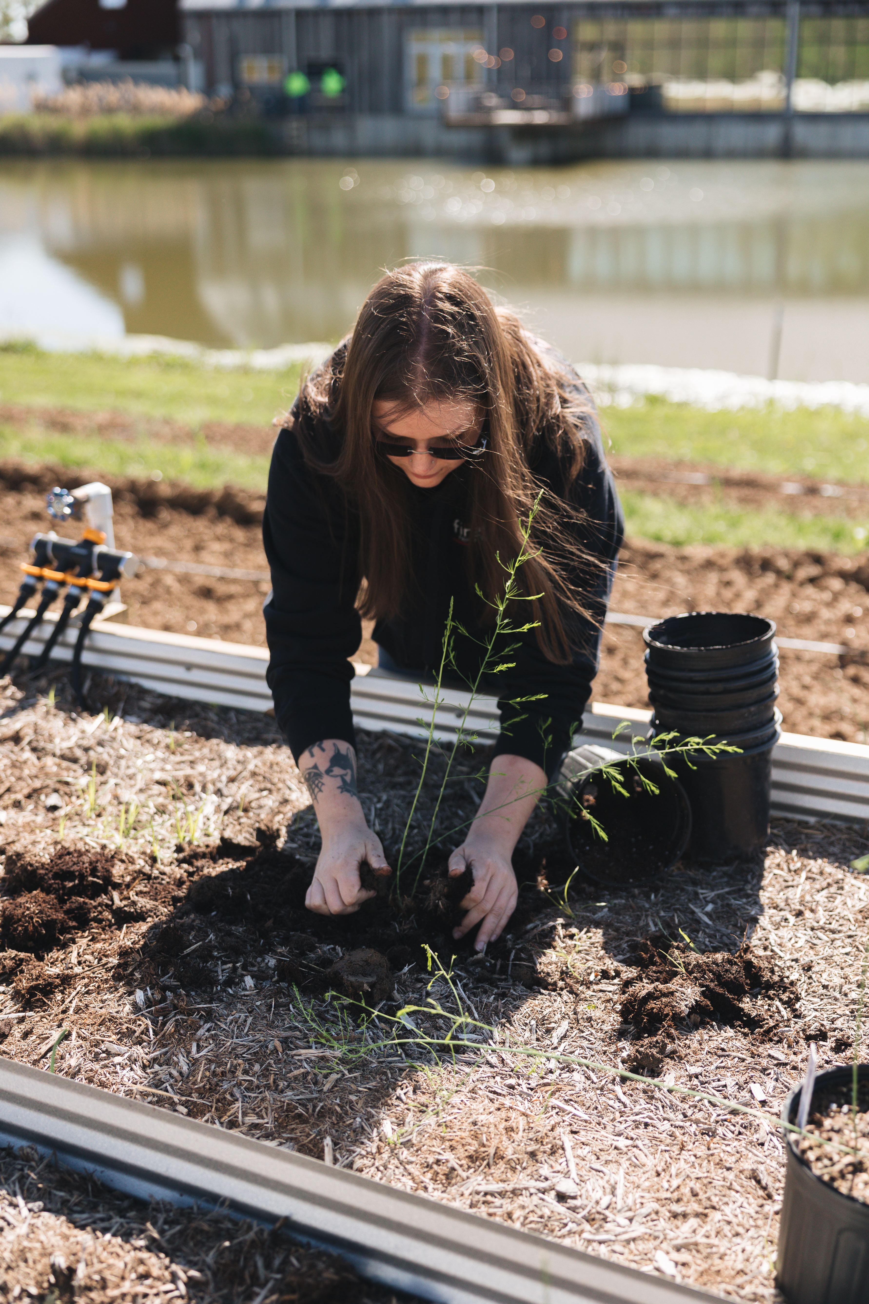 A team member carefully planting a seedling in a raised garden bed on Farm Day