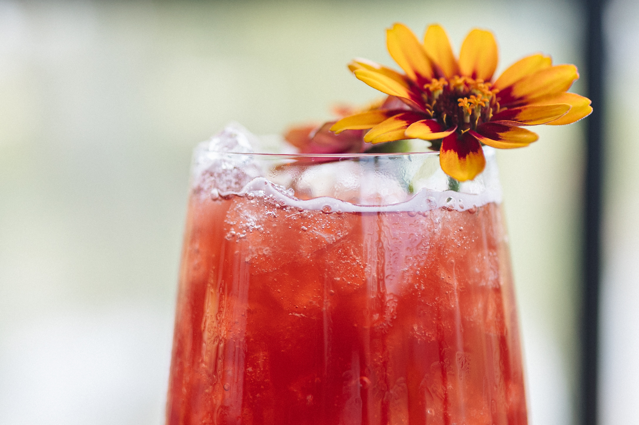 a glass of red liquid with a flower on top