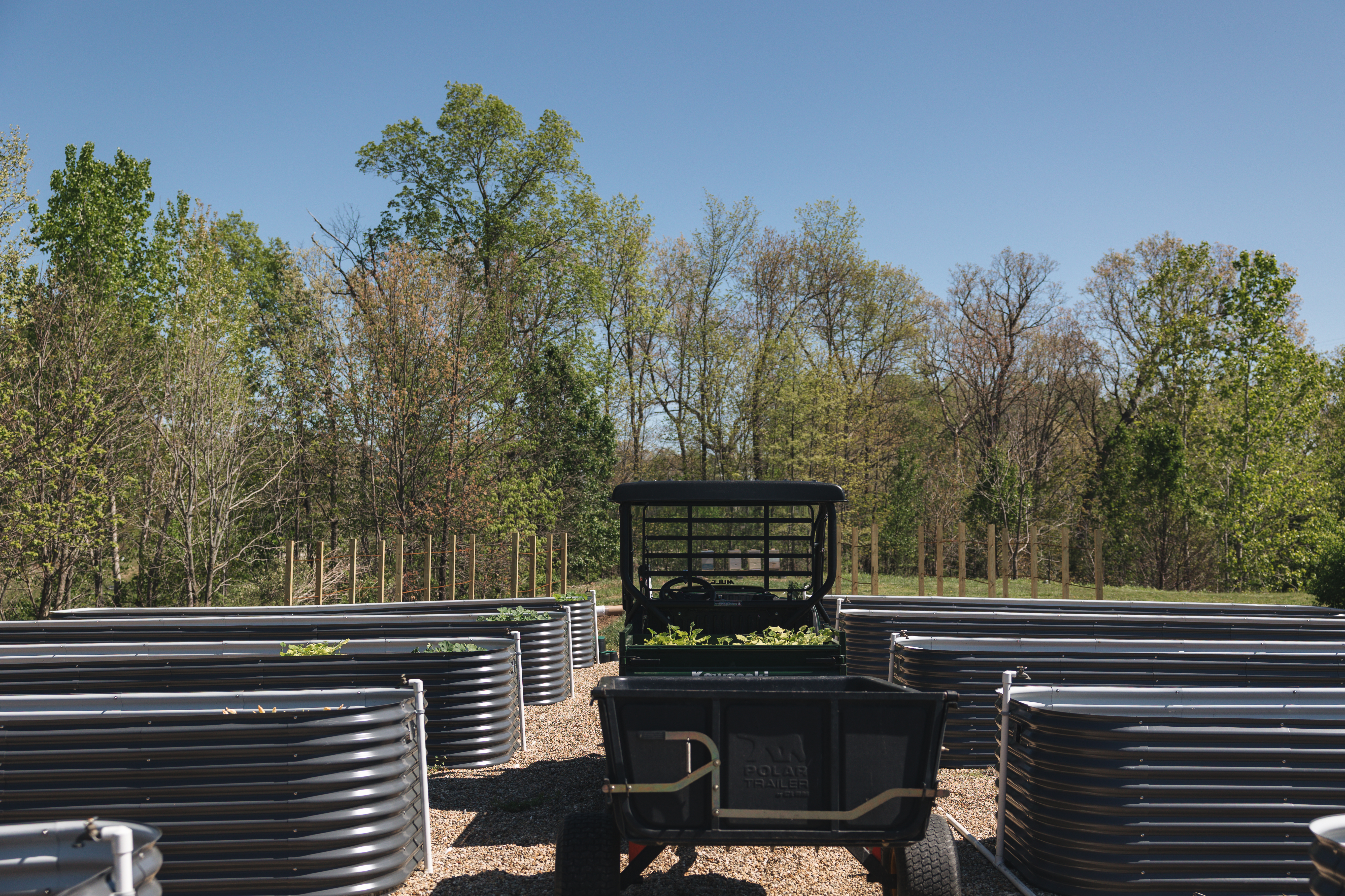A cart loaded with seedling trays ready to be planted at Firefly Farm