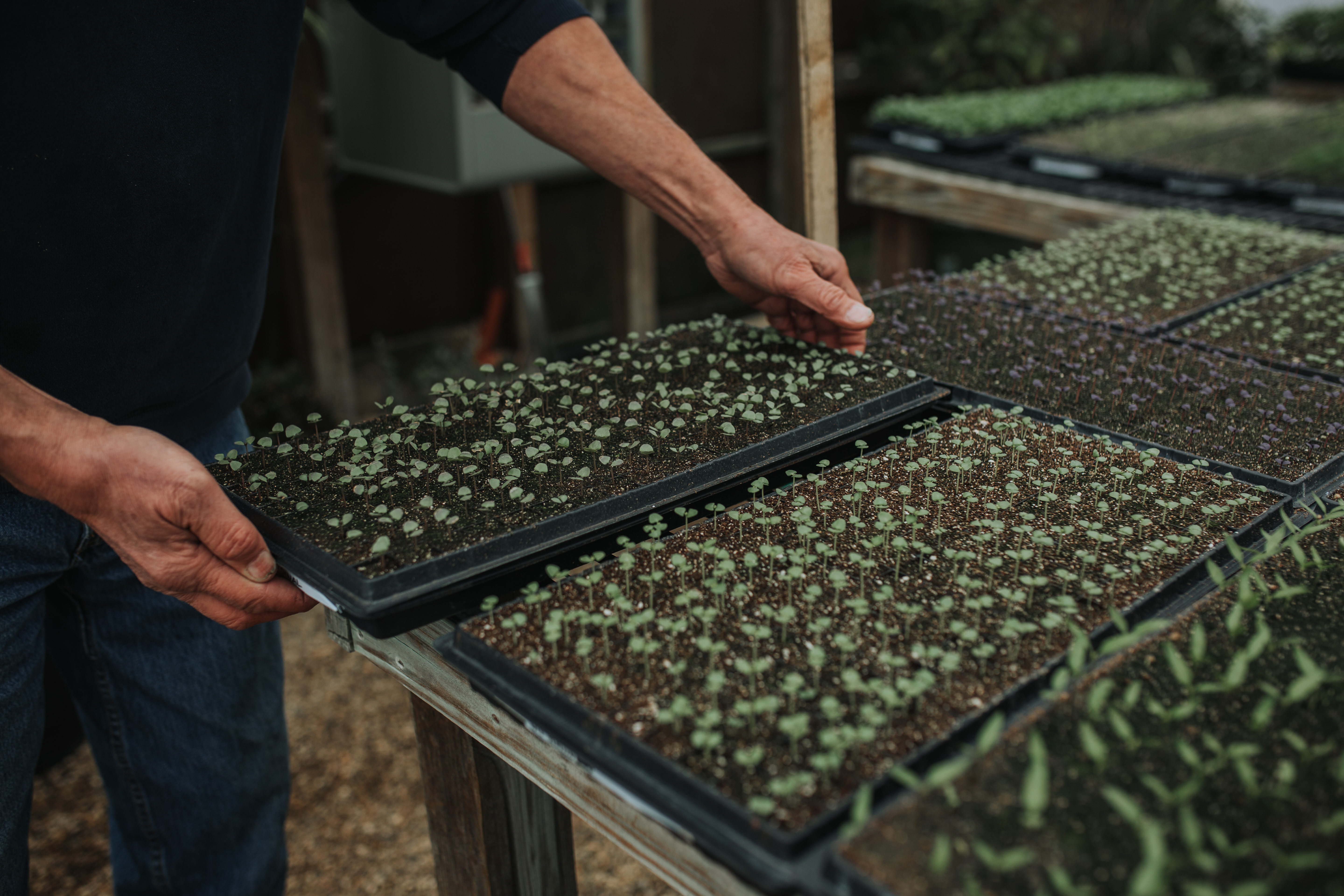 a man standing on a grill