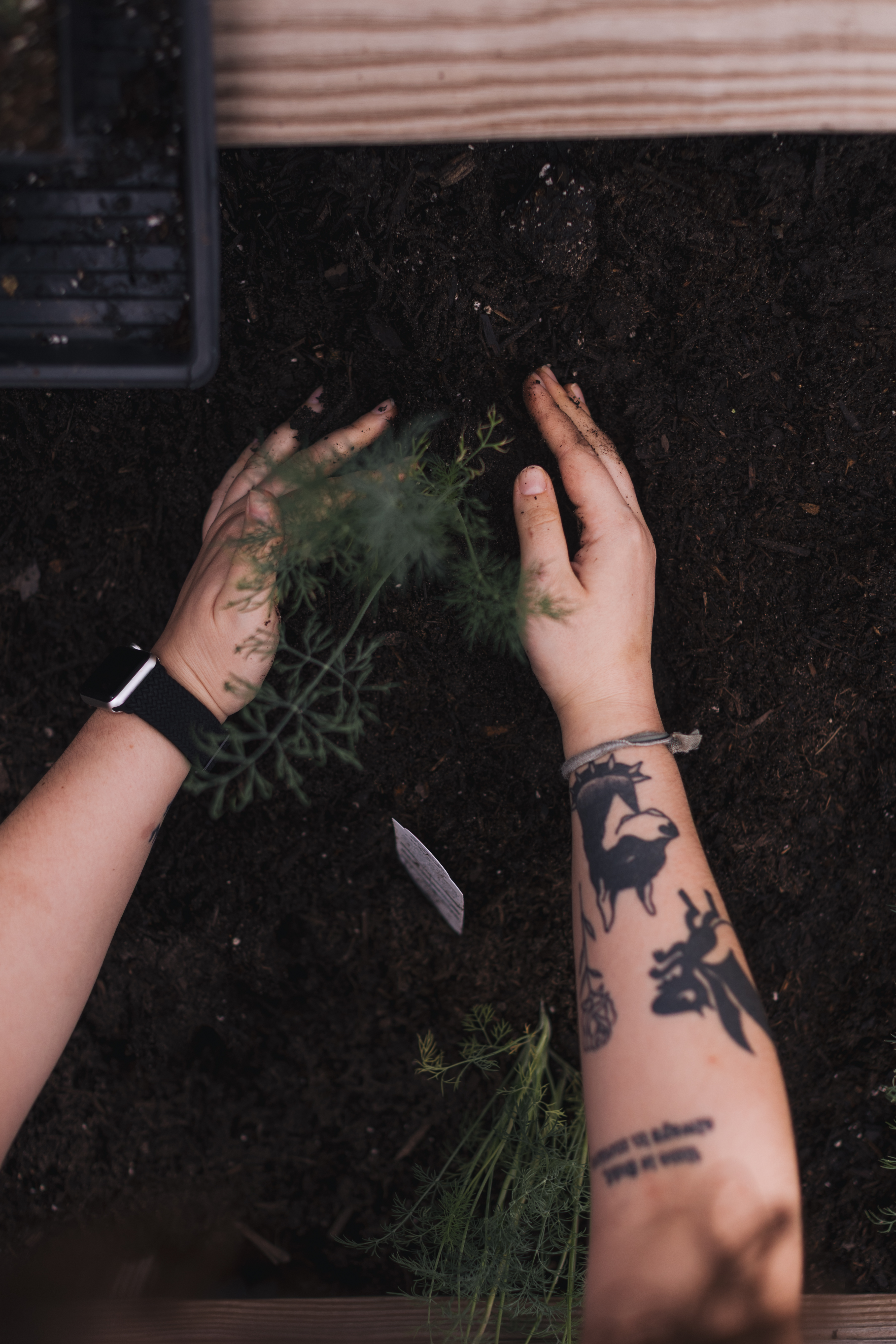 a person holding a tattoo