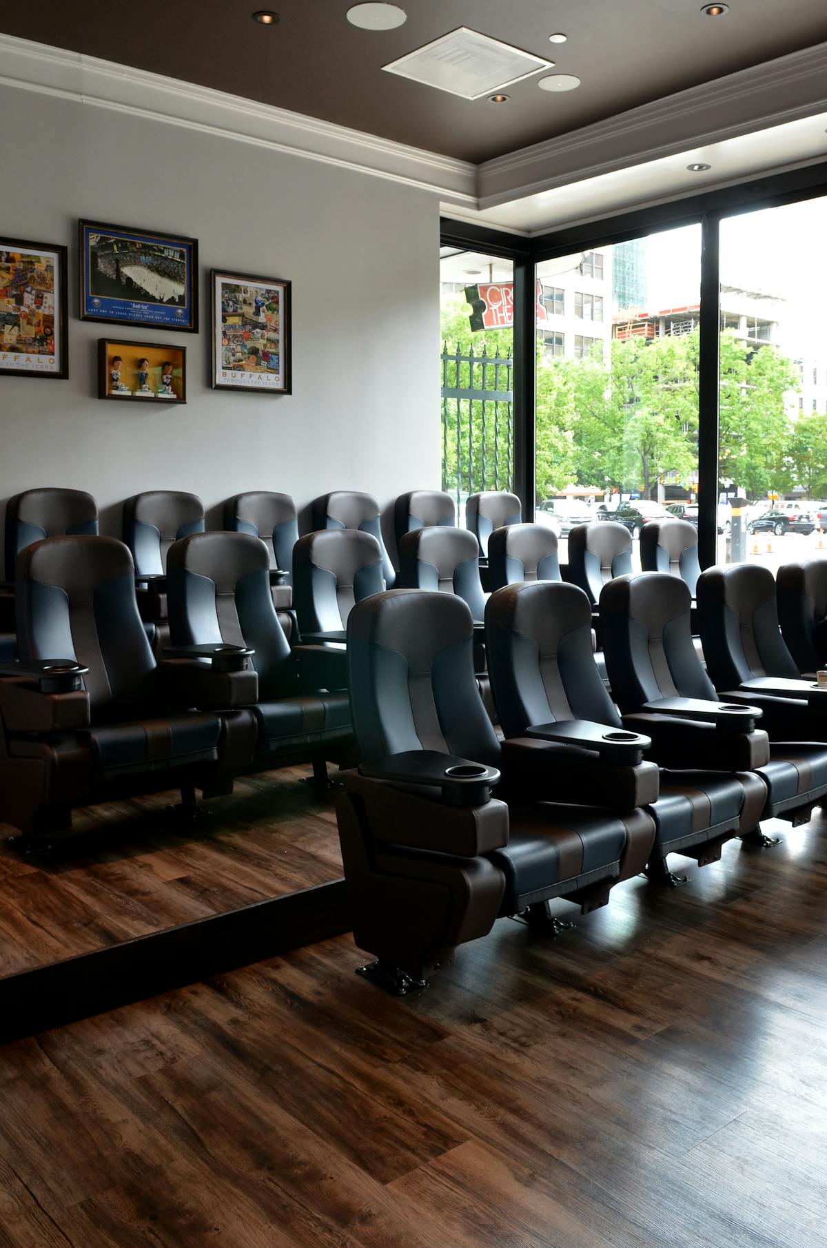 a cinema-like room with several leather seats