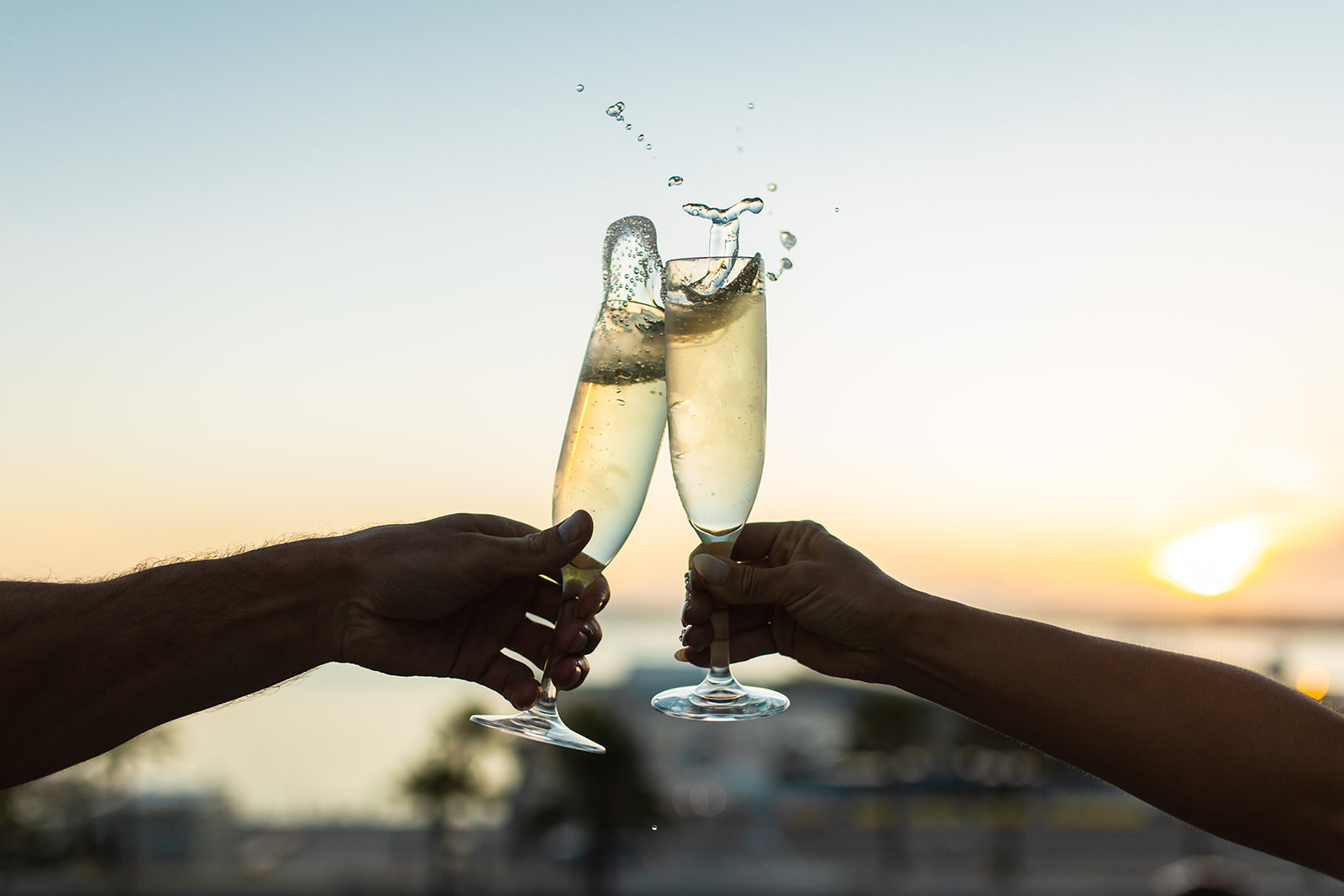 people holding champagne flutes