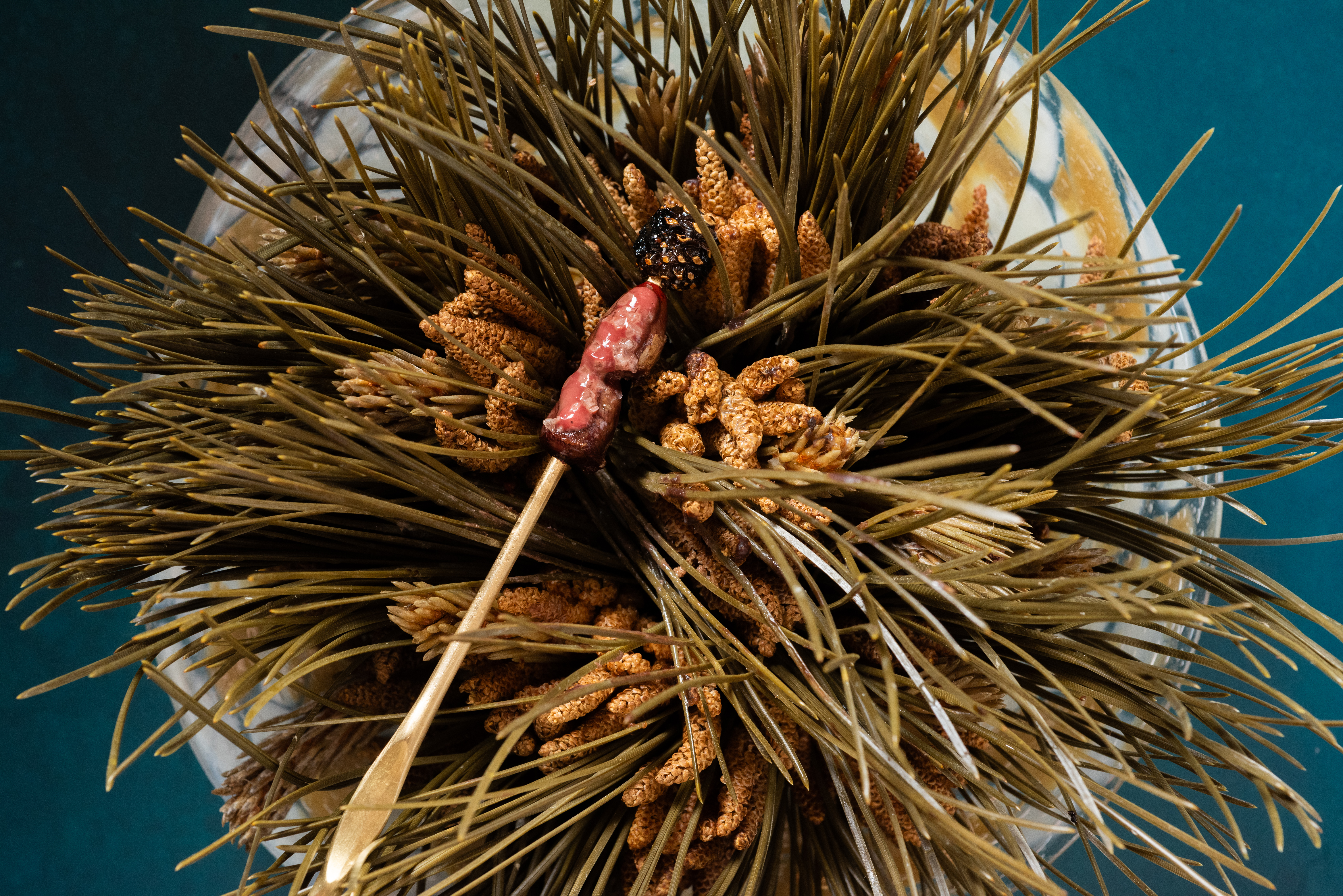 a close up of a flower