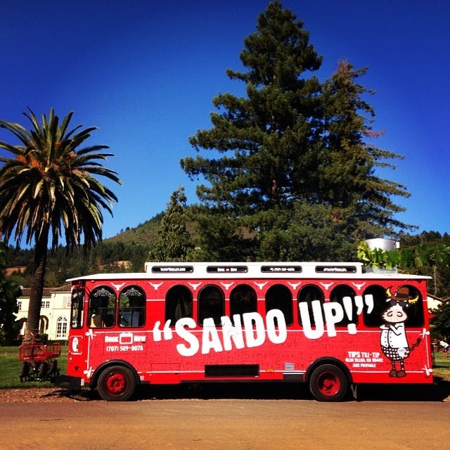 a bus parked in front of a palm tree