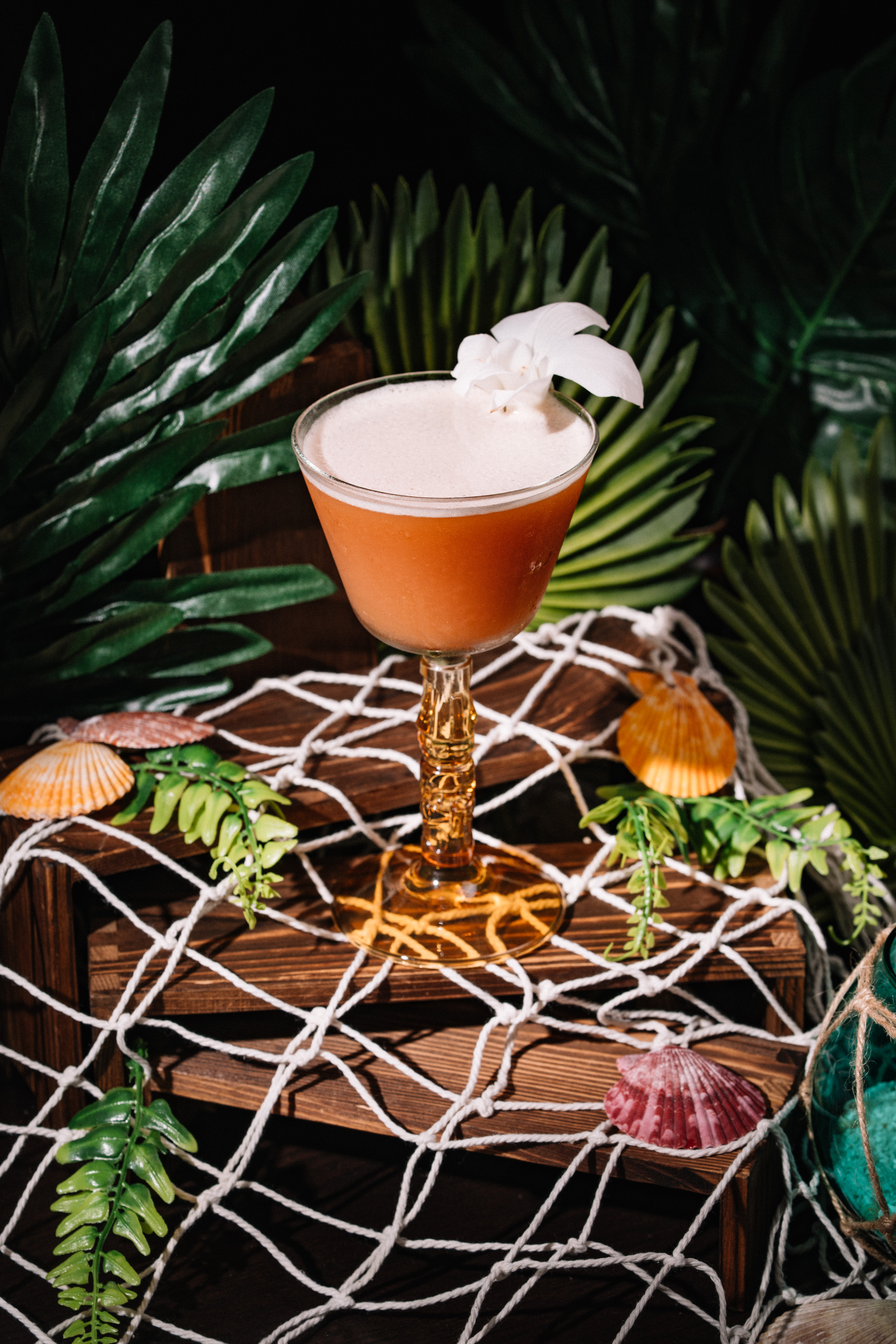 a plant in a pot on a table