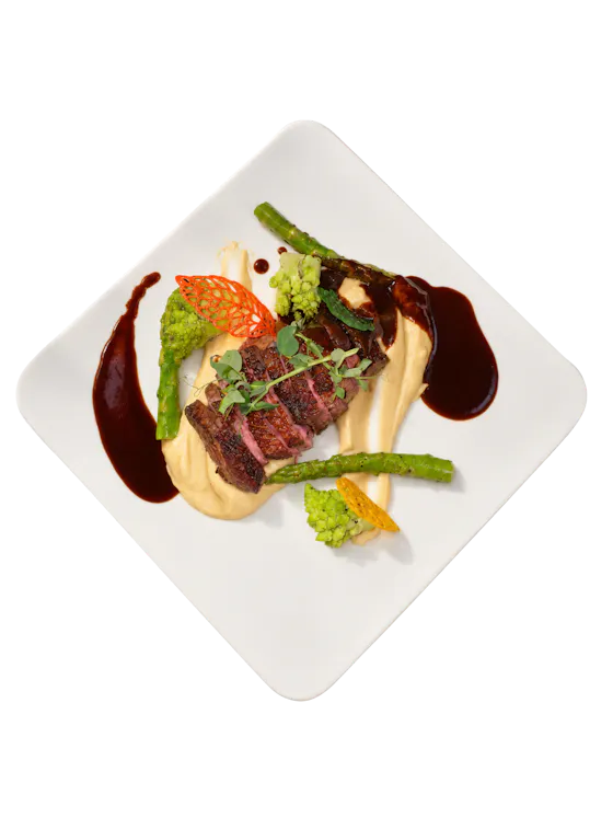 Moulard duck breast