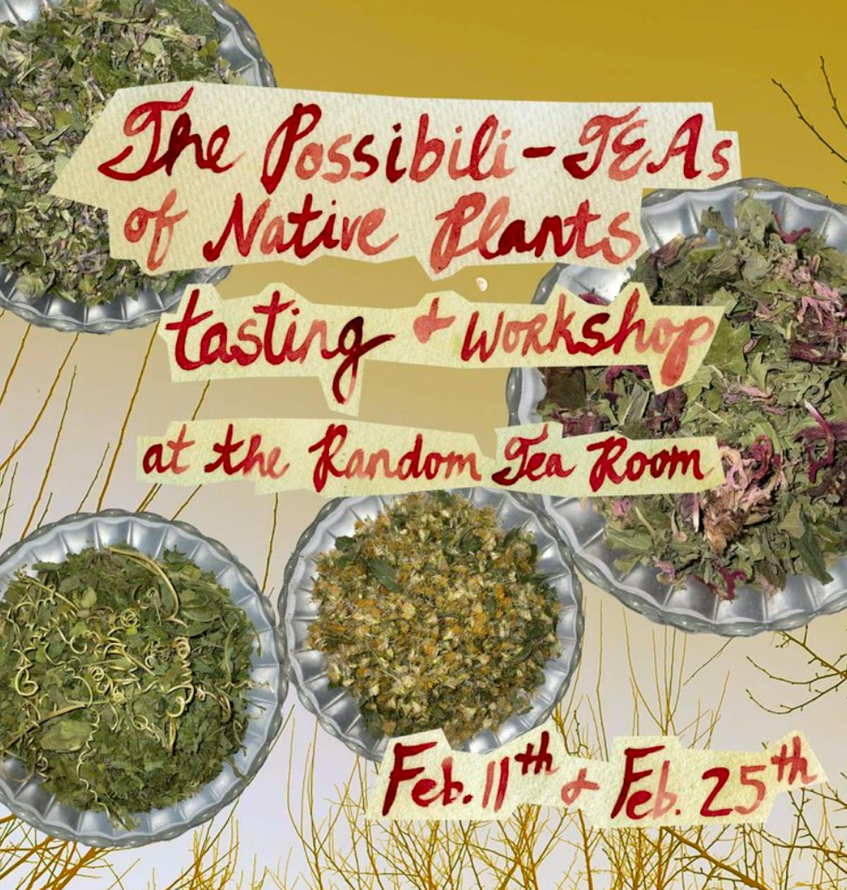 The Possibili-TEA's of Native Plants