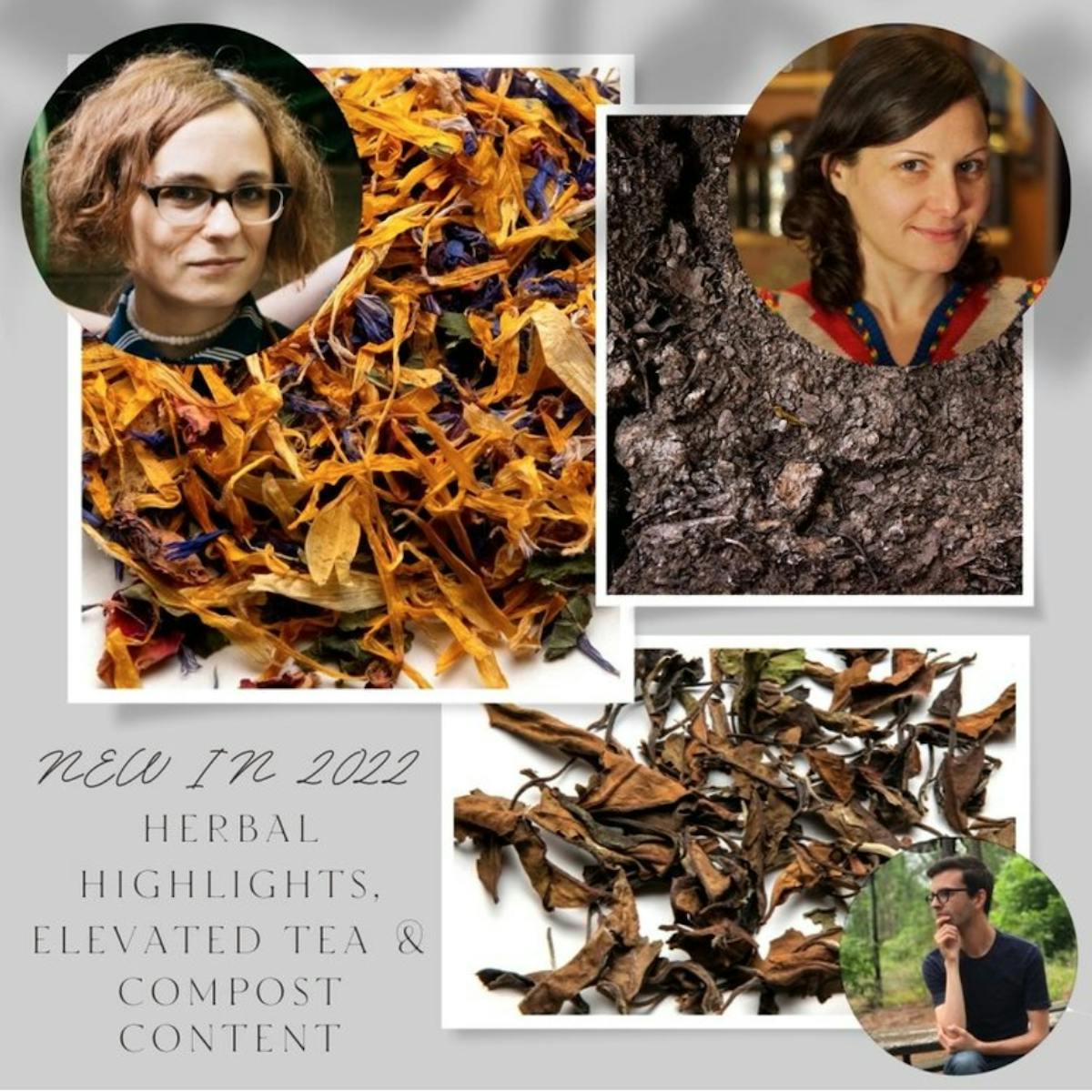 Elevated Tea, Herbal Highlights & Compost Content!