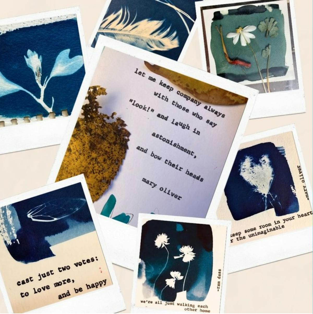 cyanotype photograms