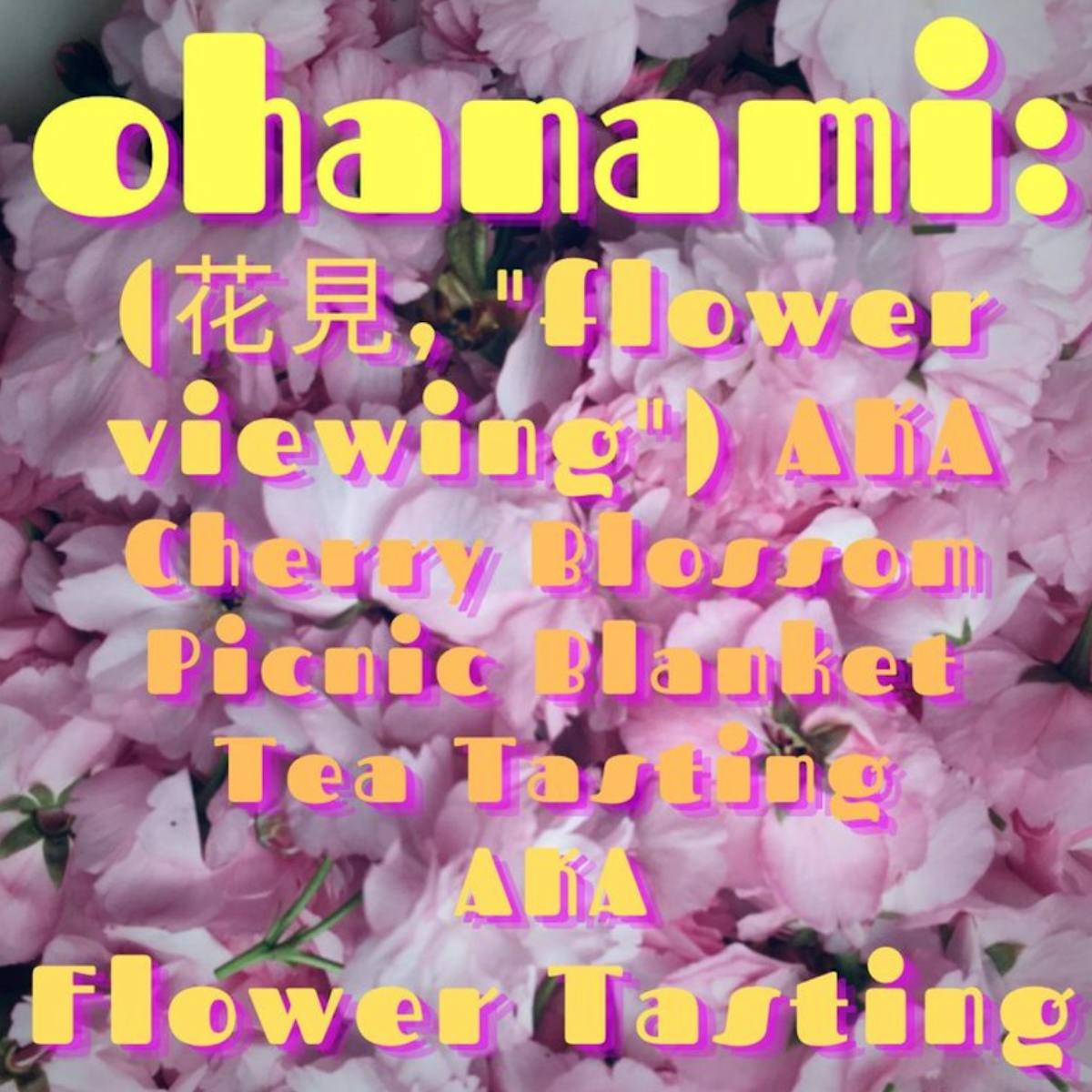 ohanami