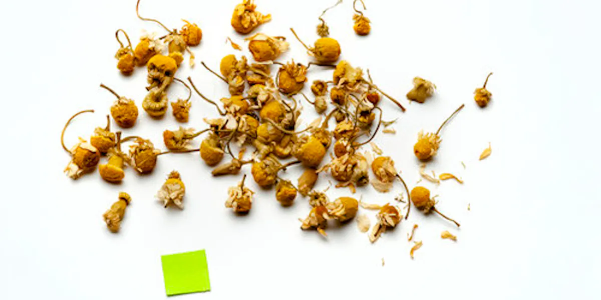 Chamomile The Random Tea Room chamomile-the-random-tea-room