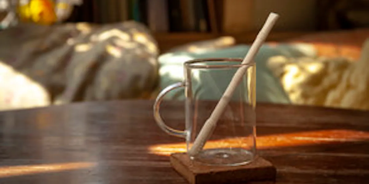 Filtered Straw Bombilla The Random Tea Room filtered-straw-bombilla-the-random-tea-room