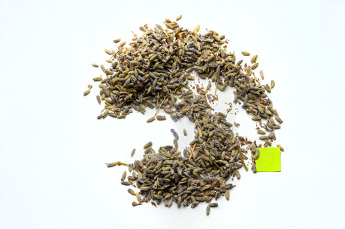 lavender-the-random-tea-room