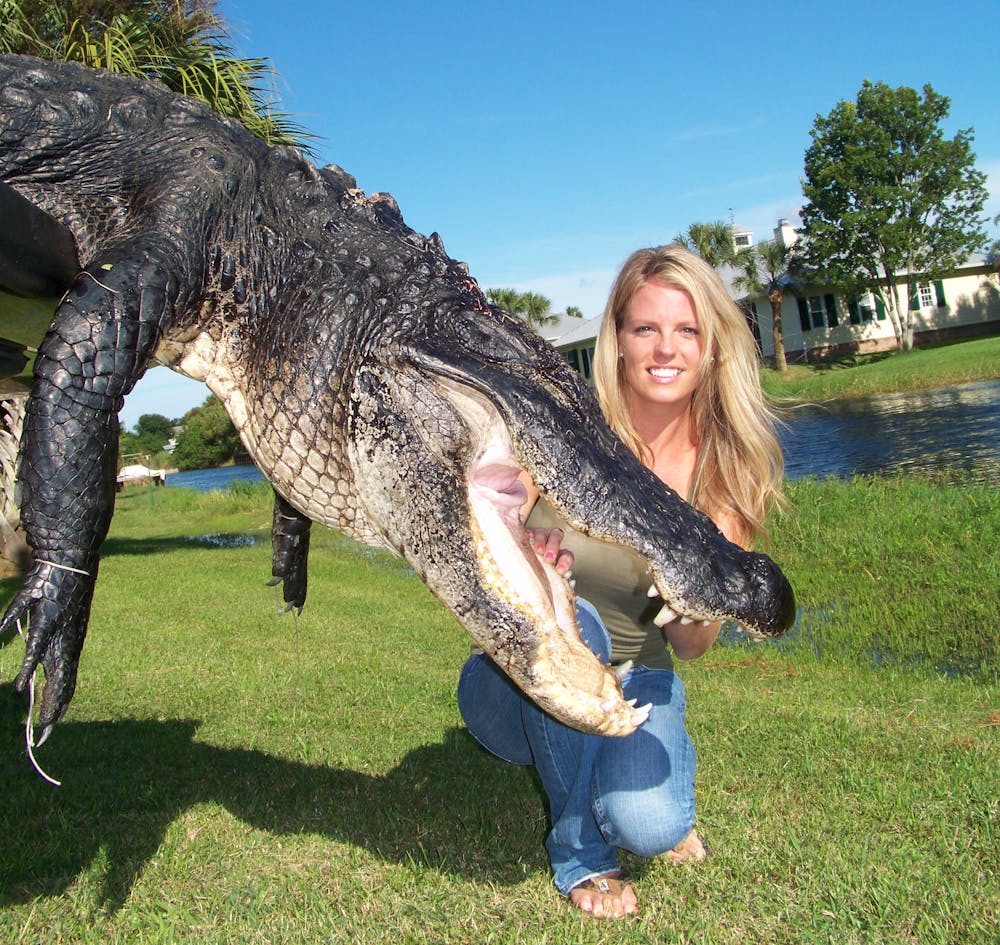 a large reptile in the grass