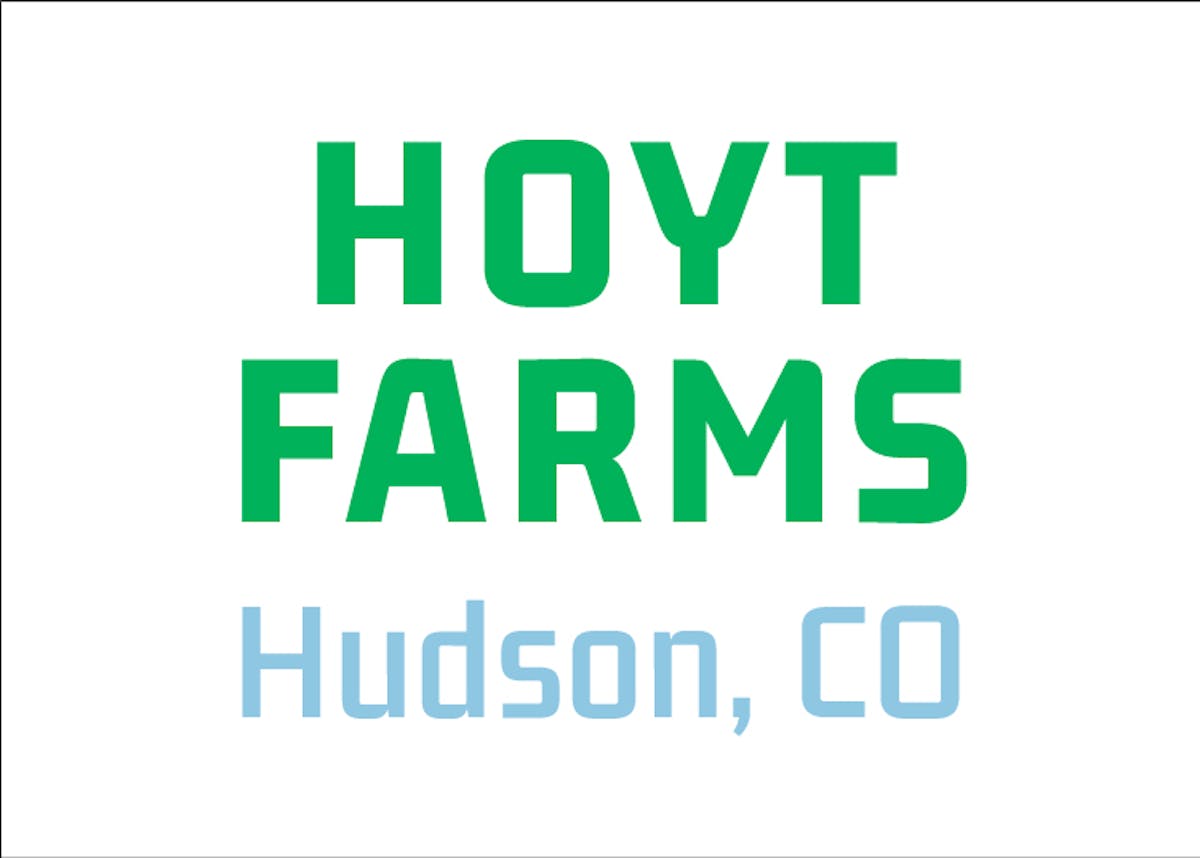 logo, company