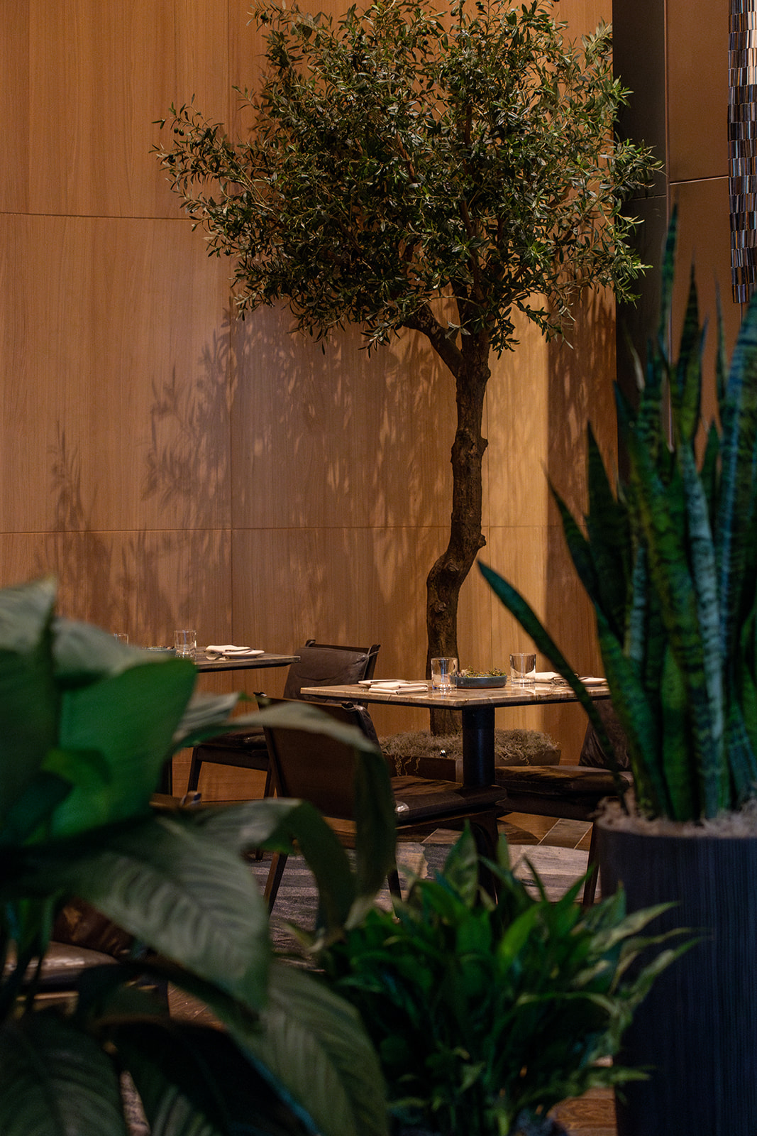  A beautifully decorated restaurant adorned with various plants