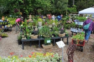 a group of people in a garden