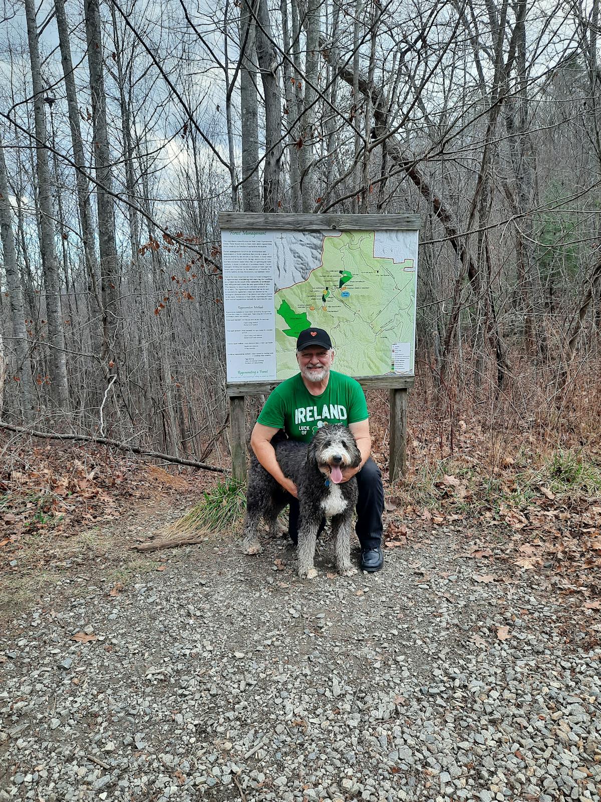 a person standing next to a forest