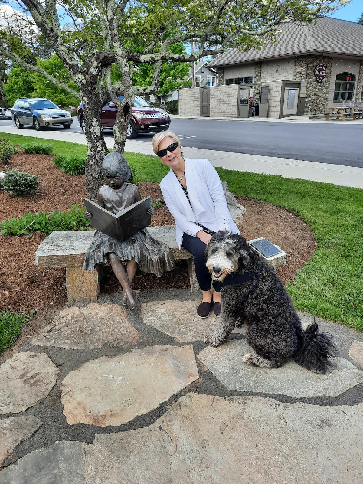 a dog sitting on a rock