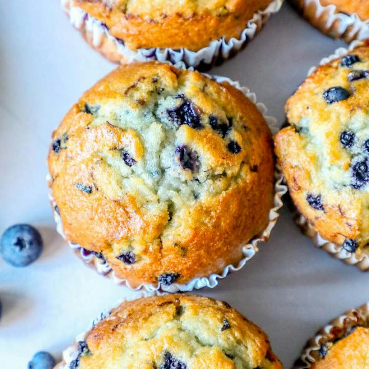 Sweeten Creek Coffee muffins