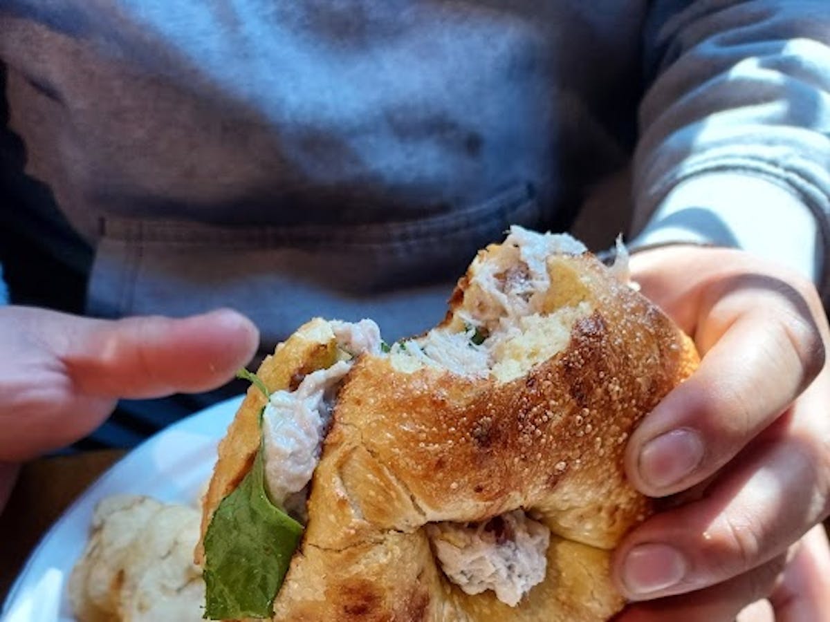 a hand holding a half eaten sandwich on a plate