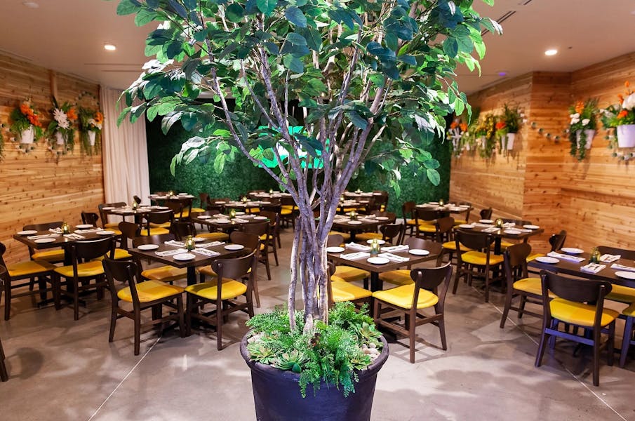 About Hugo's Invitados in Irving, Texas