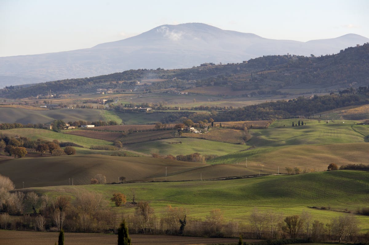 a field with a mountain in the background