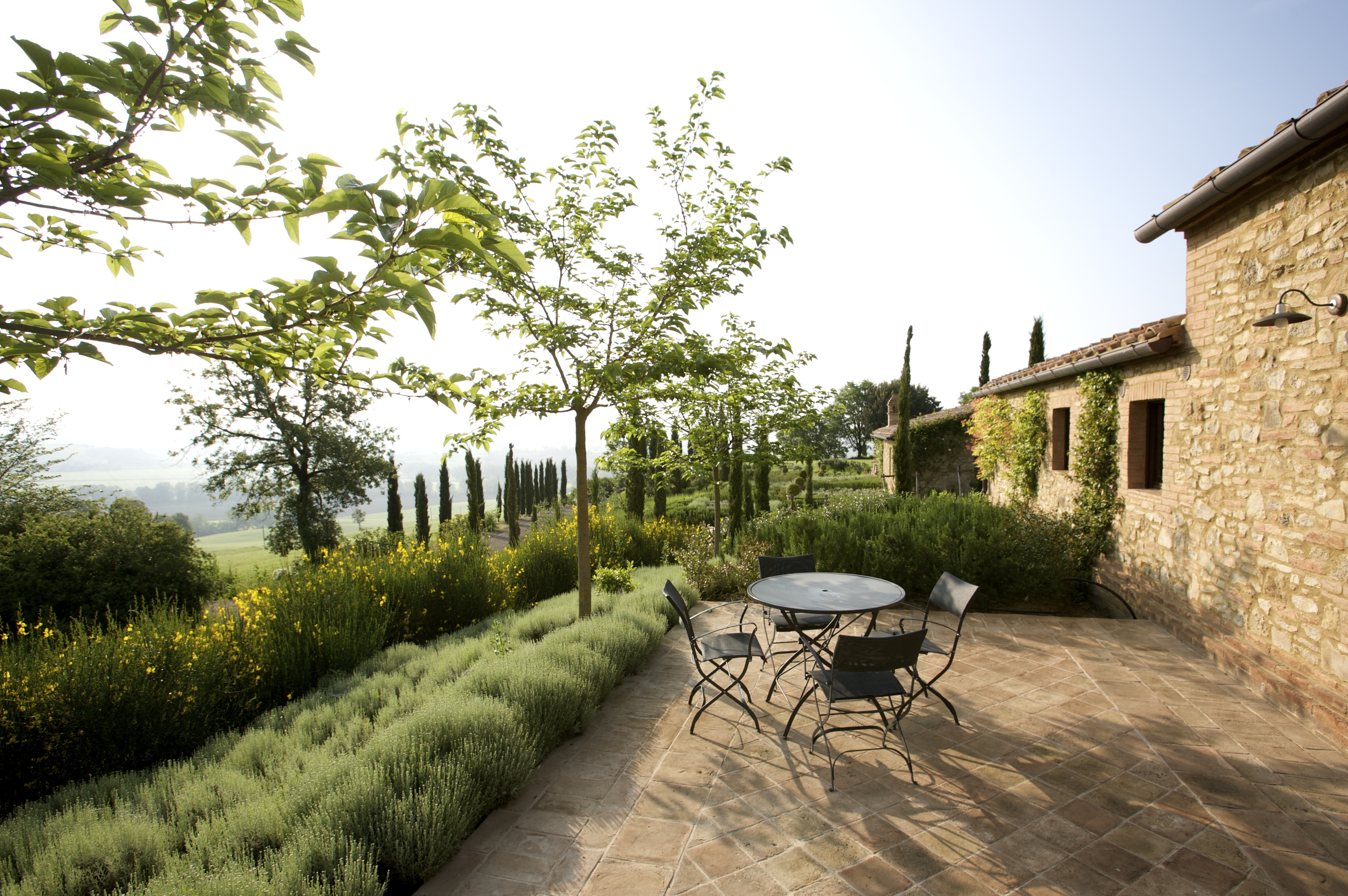 a path with trees on the side of a building