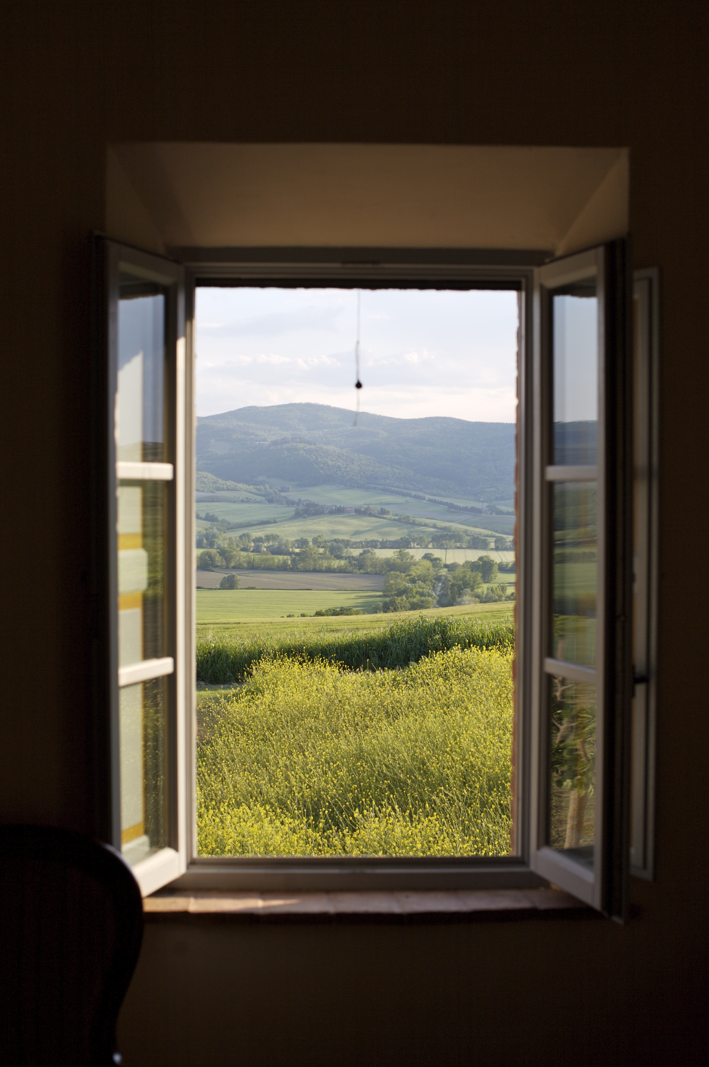 a view looking out of a window