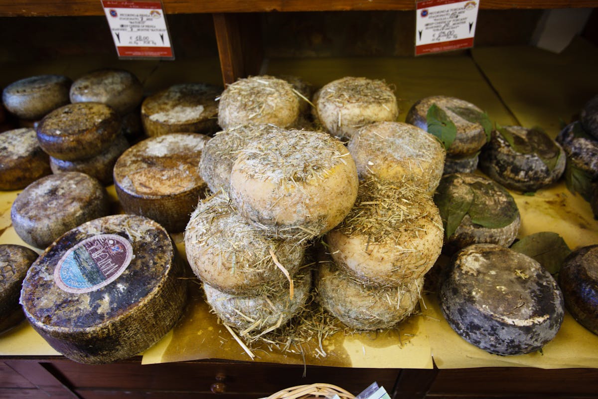 a display in a store filled with lots of food