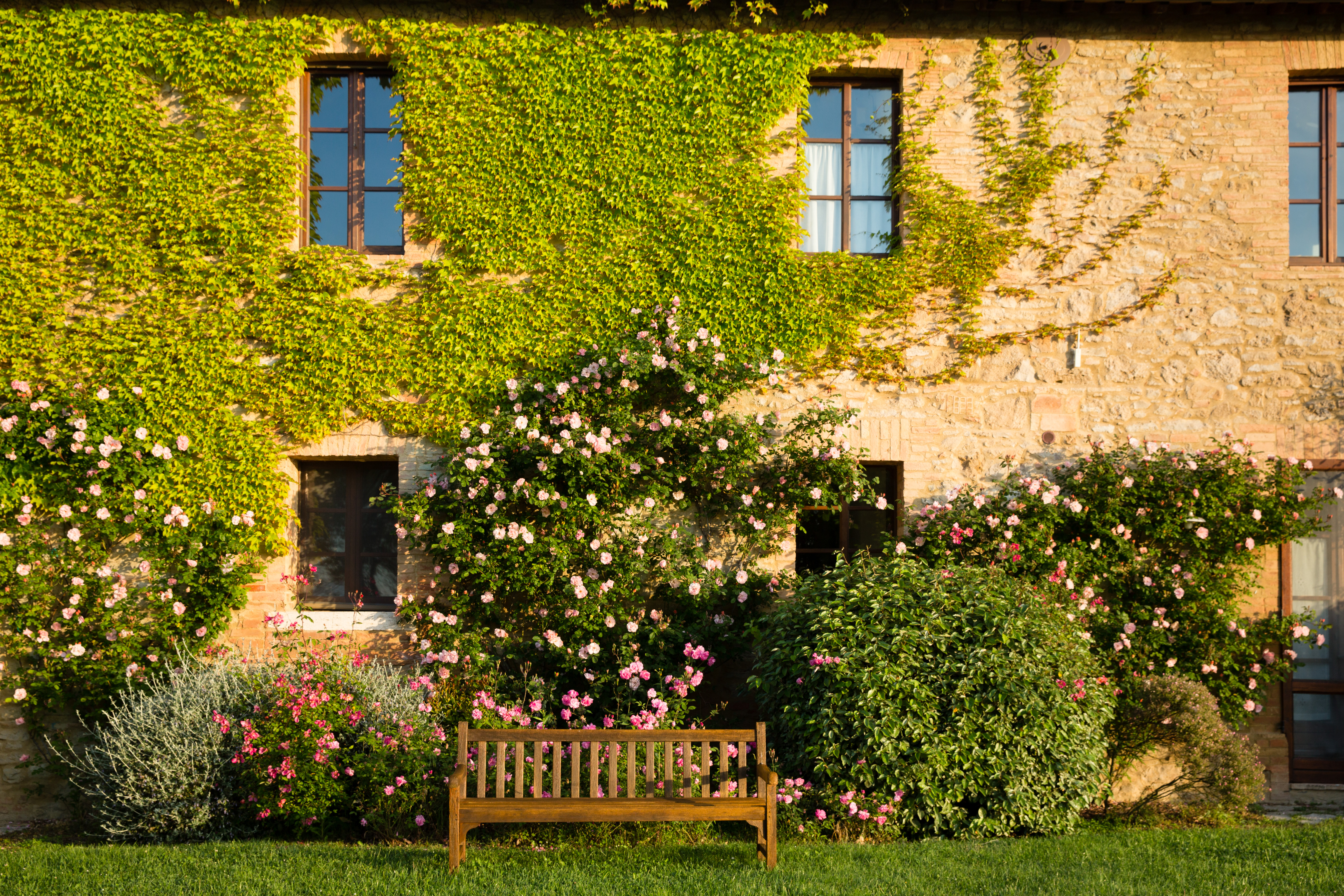 stone house with roses