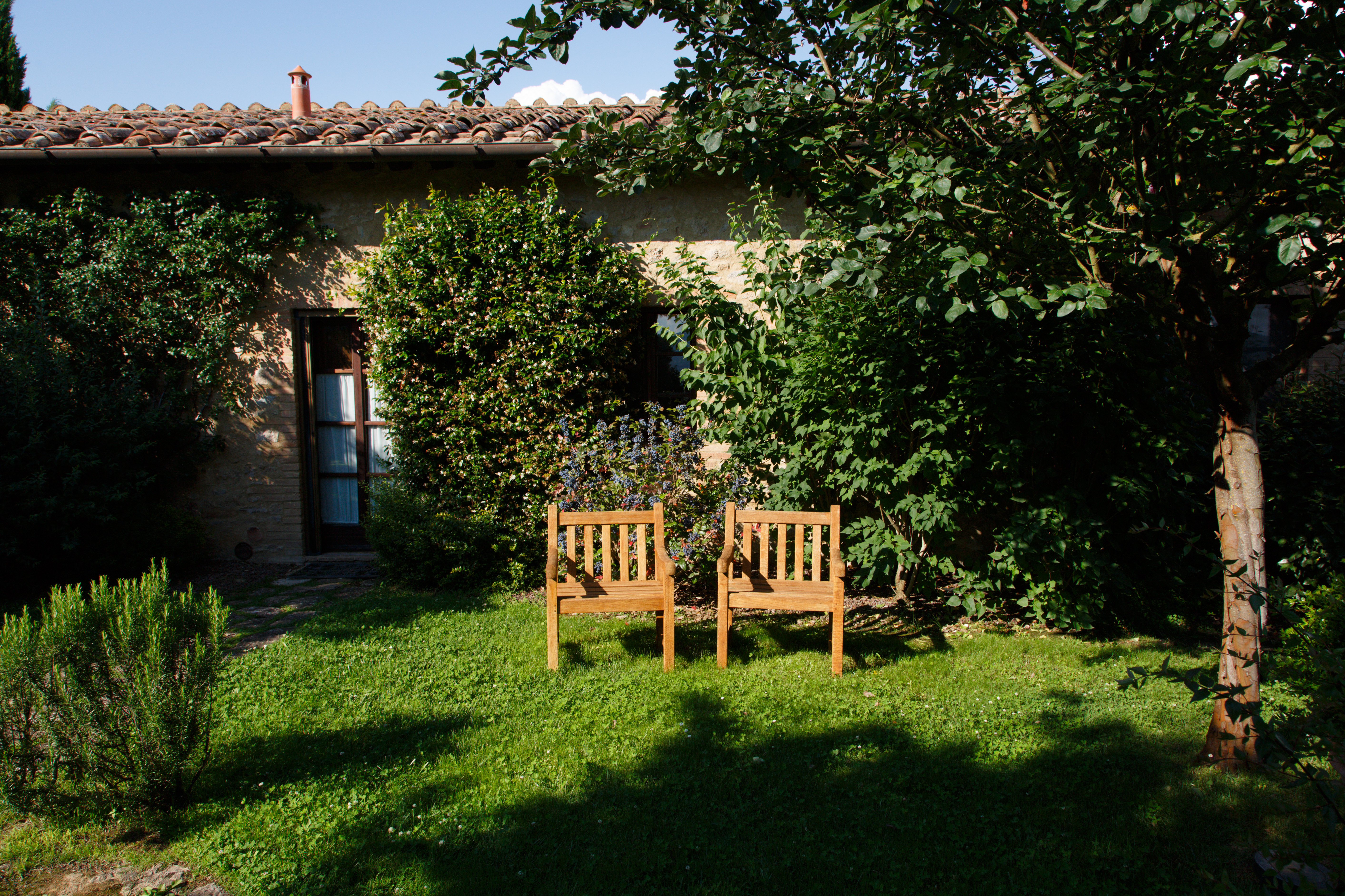 a tree in front of a house