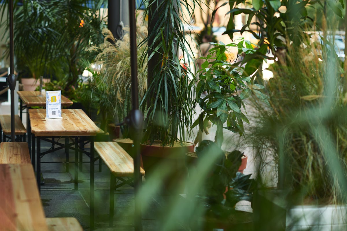 a dining room table in front of a tree