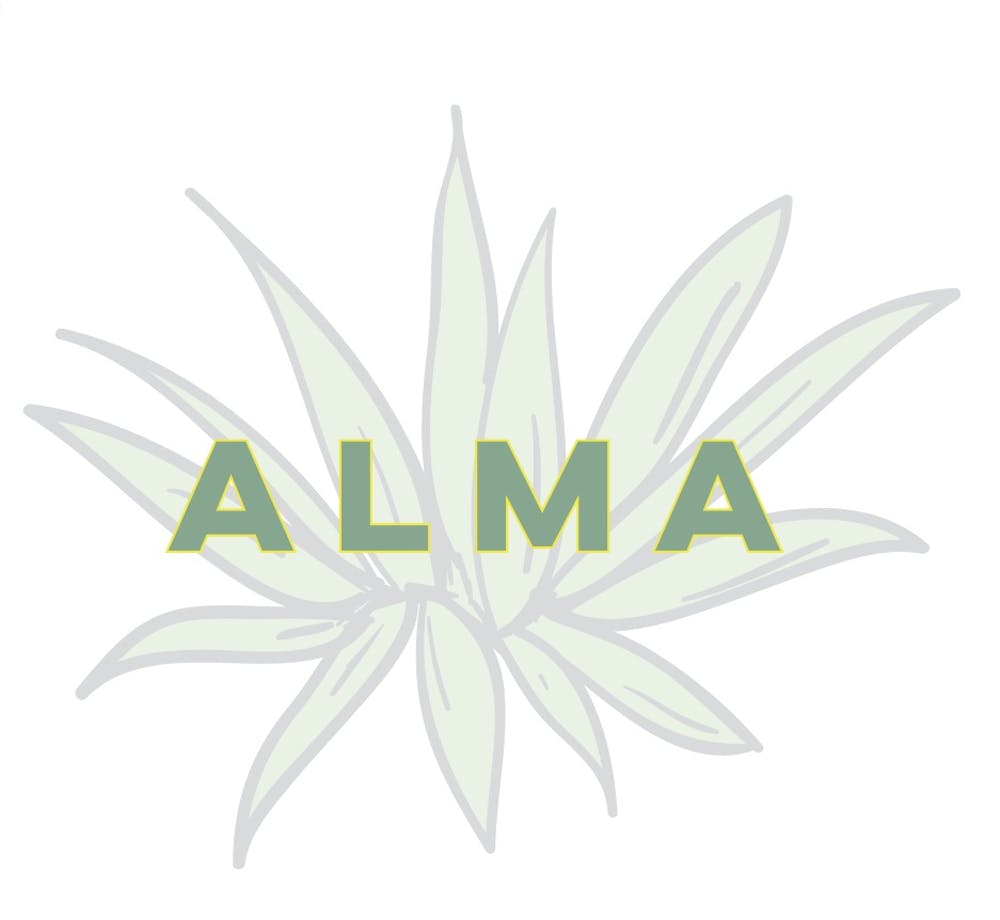 Alma Mexican Restaurant in Brooklyn, NY