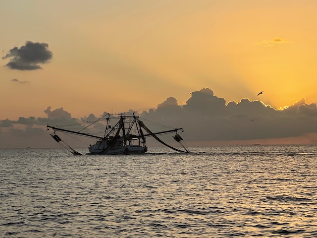 a boat on a body of water
