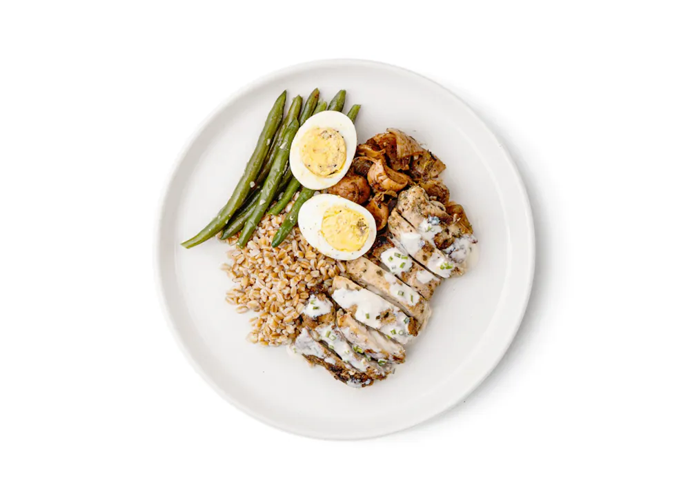 a plate of food